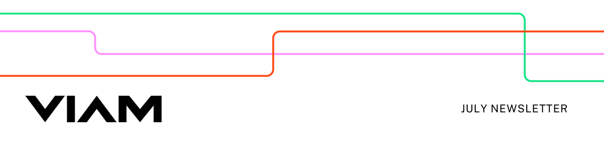 Viam logo, July newsletter, decorative lines