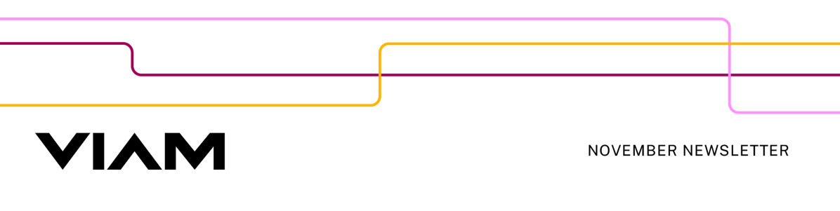 Viam November Newsletter header